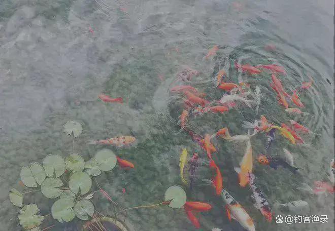 御汤山熙园-售楼处(御汤山熙园)完美体育网站站-楼盘百科-北京房天下(图11)