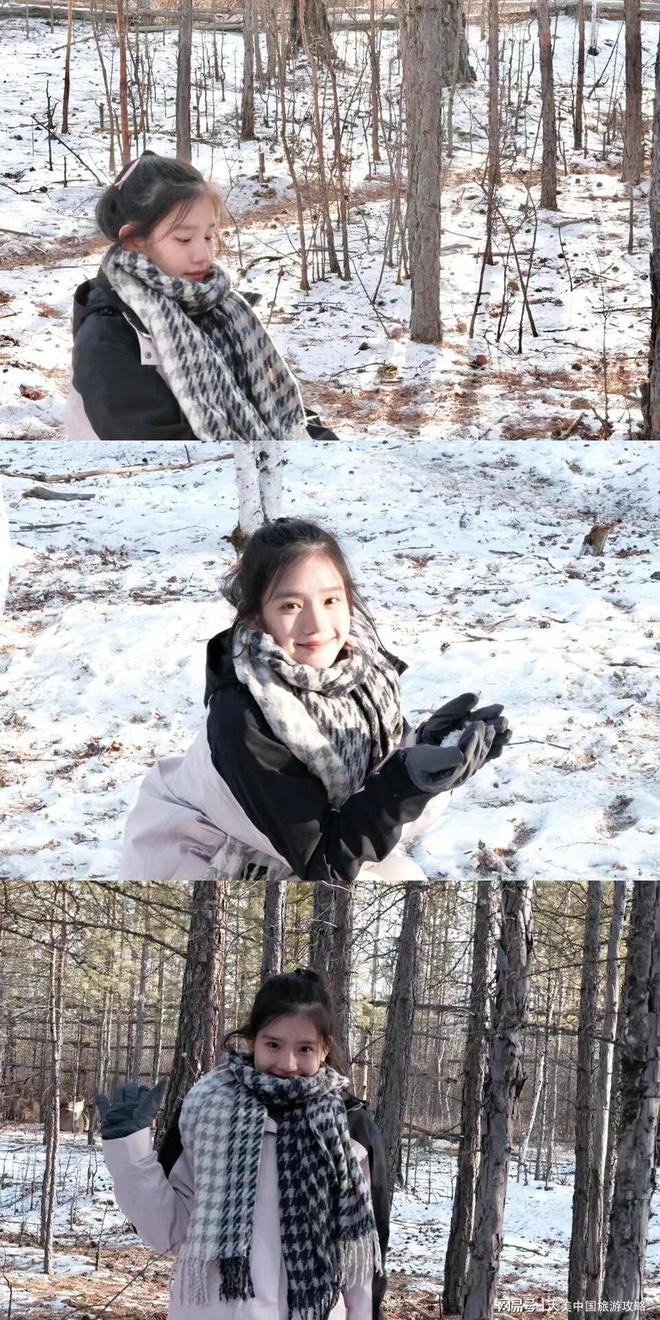 朋友组团去漠河怎么玩？3天2晚行程设计+制费用清单(图3)