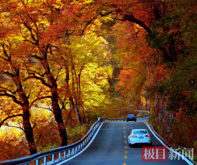 解锁“五彩秋韵”和“冰雪狂欢”神农架秋冬游进入“黄金窗口期”完美体育网站(图6)