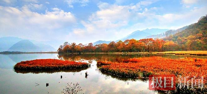 解锁“五彩秋韵”和“冰雪狂欢”神农架秋冬游进入“黄金窗口期”完美体育网站(图5)