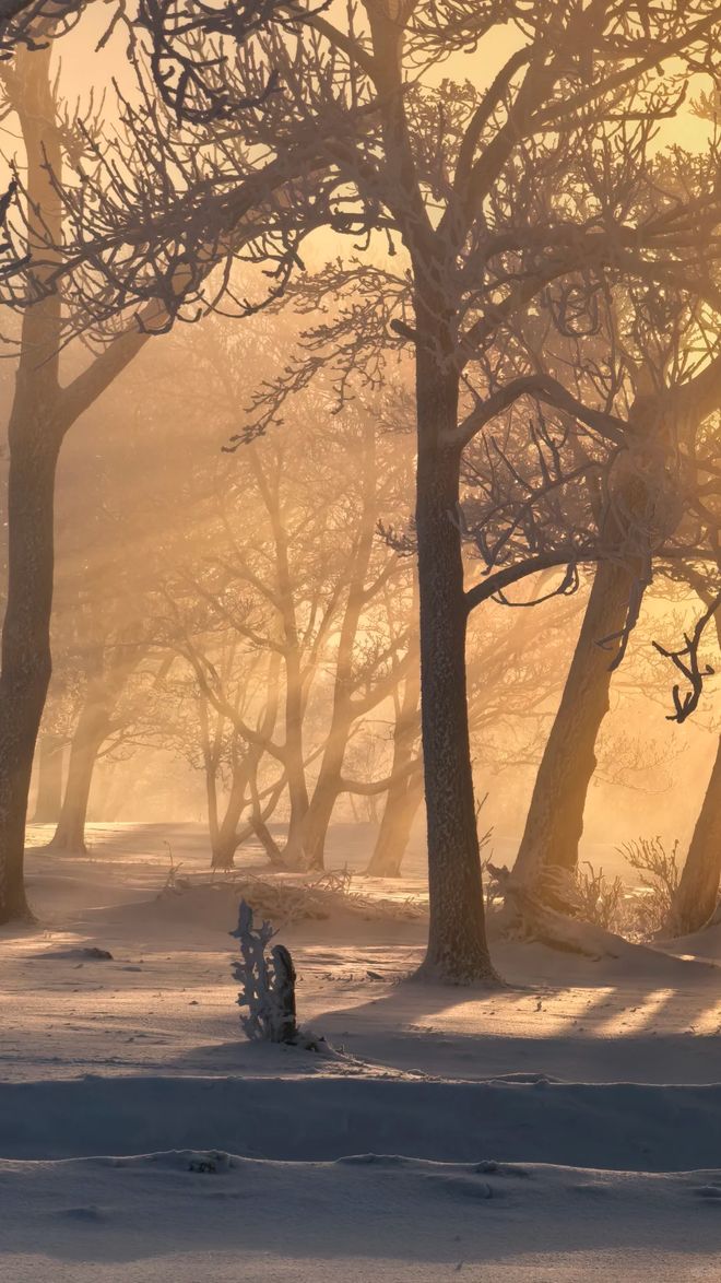 吉林市旅行社前十名优选靠谱商家正规认证口碑TOP10全汇总(图3)