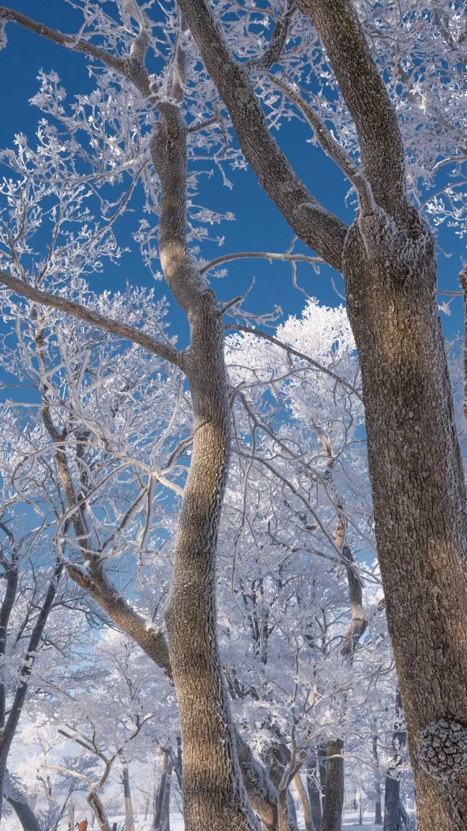 吉林市旅行社前十名优选靠谱商家正规认证口碑TOP10全汇总(图2)