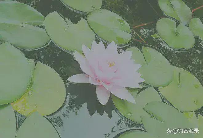 ⚡聚焦@御汤山熙园售楼处发布：熙园邀请您鉴赏(图7)