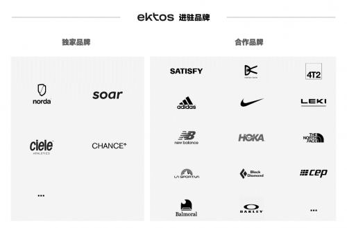 完美体育网站营收与利润双双倒退：宝胜国际被打回十年前(图8)