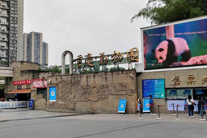 重庆必去景点分享：4日游必玩的十大精华地标（不踩雷）(图2)