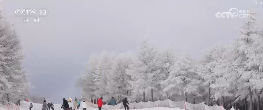 创新业态释放“冬雪夏凉”资源优势新活力“高端赛事+大众活动”添彩花样冰雪(图19)